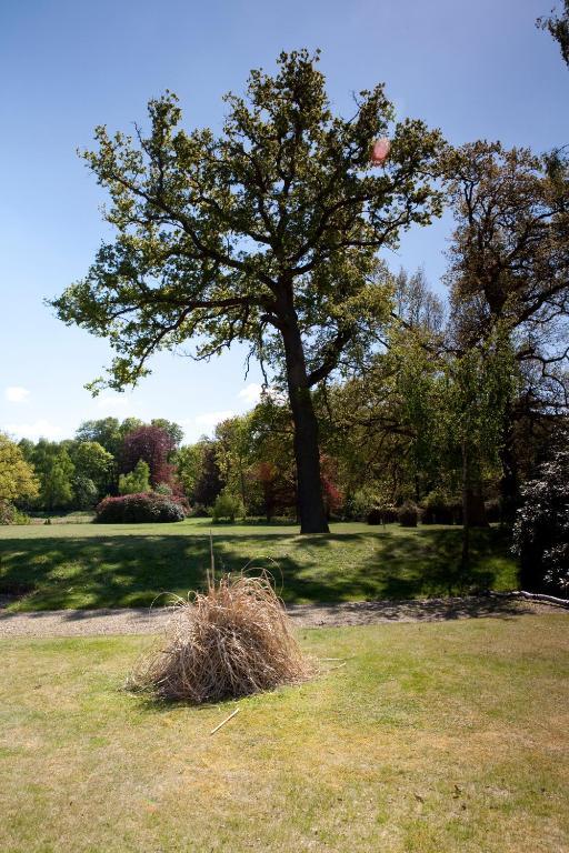 Petwood Hotel Woodhall Spa Bagian luar foto