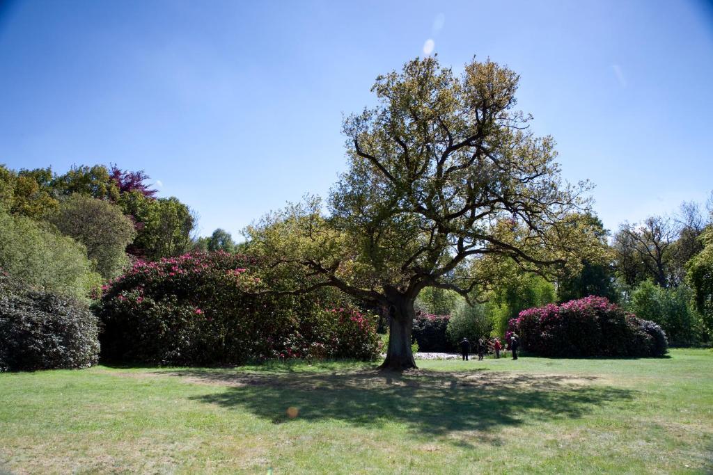 Petwood Hotel Woodhall Spa Bagian luar foto
